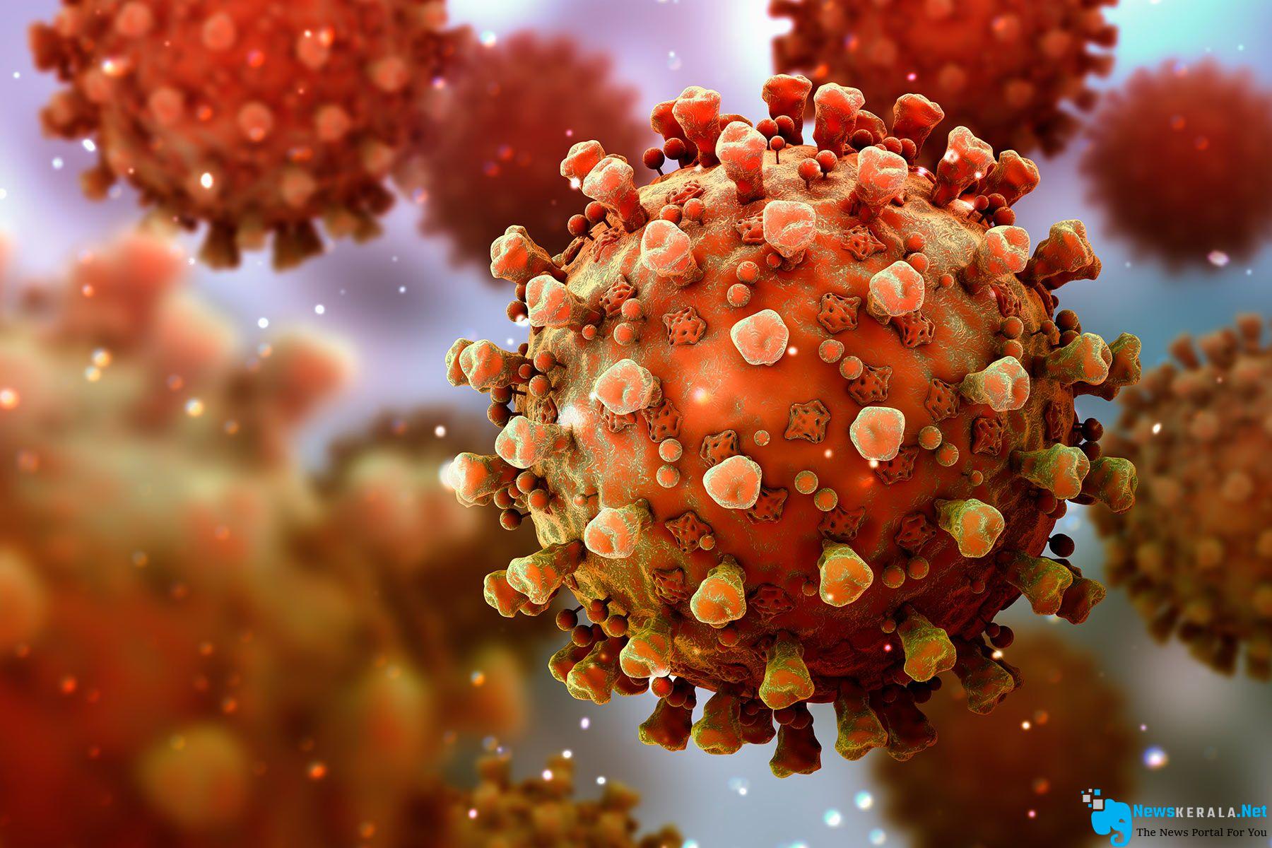 Covid new virus newskerala.net