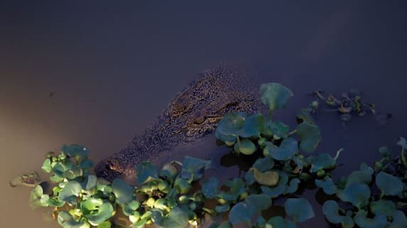 2b90f22d-wp-header-logo.png