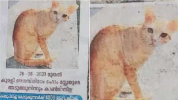 catnewskerala