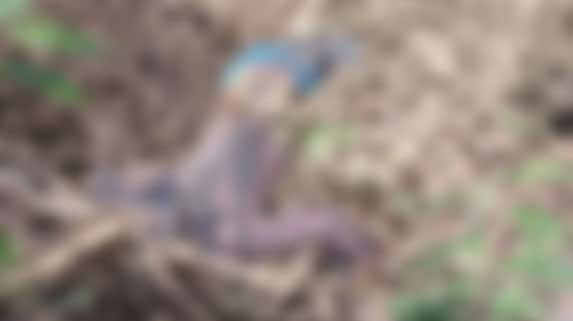 fe47c01c-wp-header-logo.png