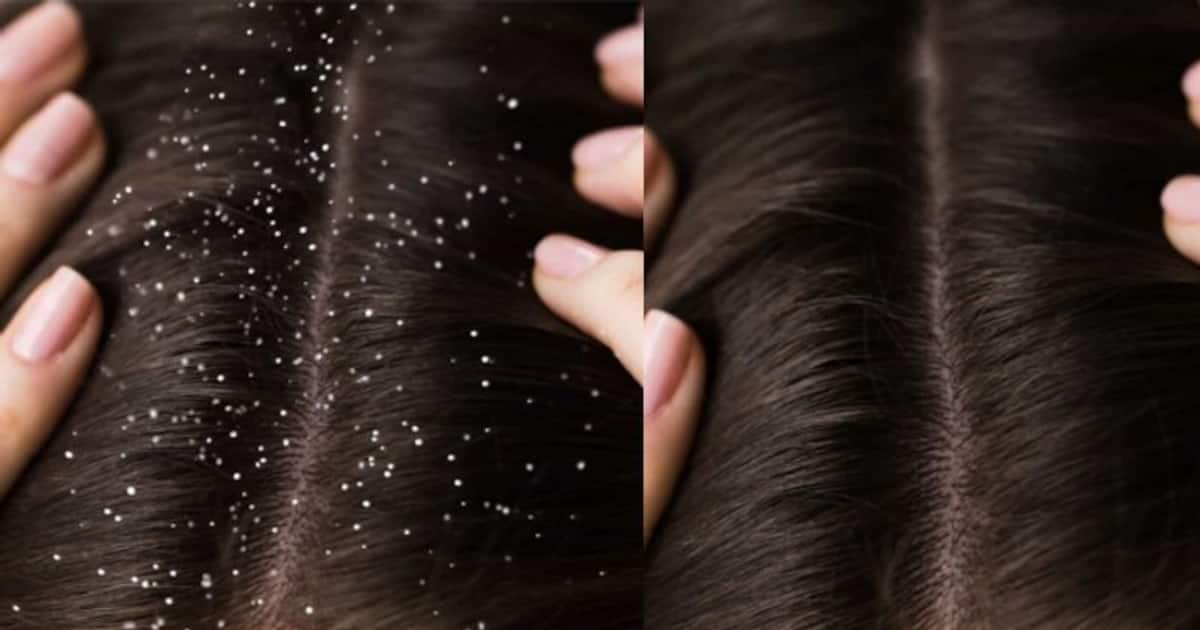 6a732735-wp-header-logo.png