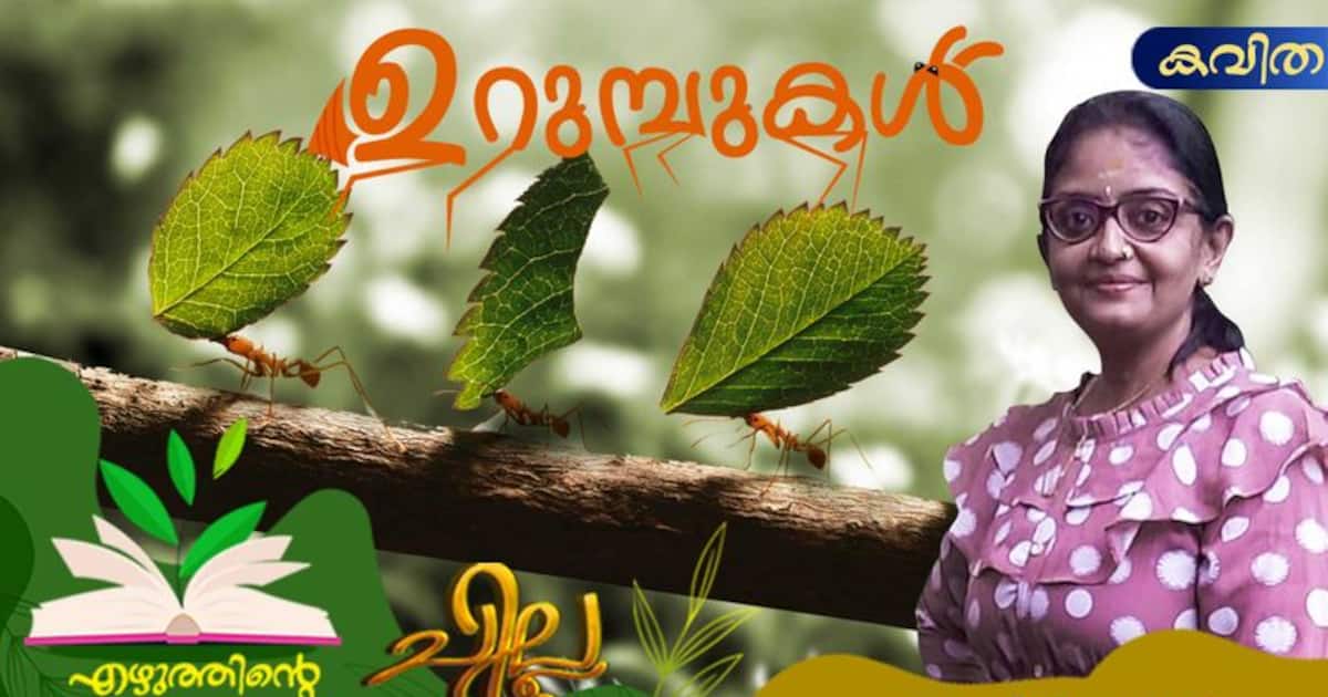 04666cc4-wp-header-logo.png