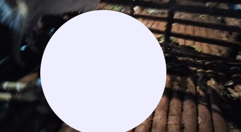 9ab98ac5-wp-header-logo.png