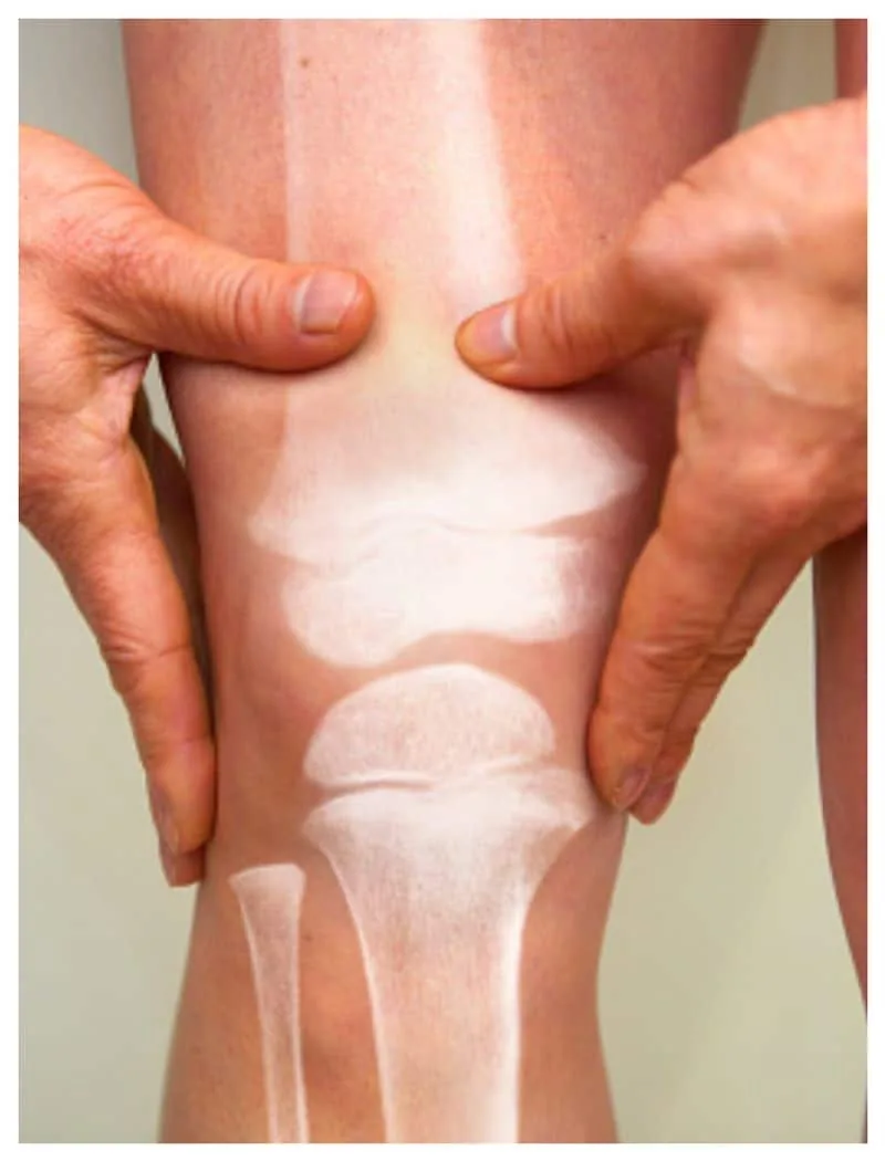 a6f3bbcb-wp-header-logo.png