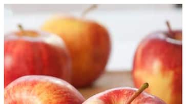 60066935-wp-header-logo.png