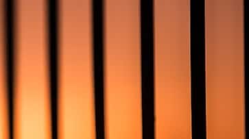 41a65266-wp-header-logo.png