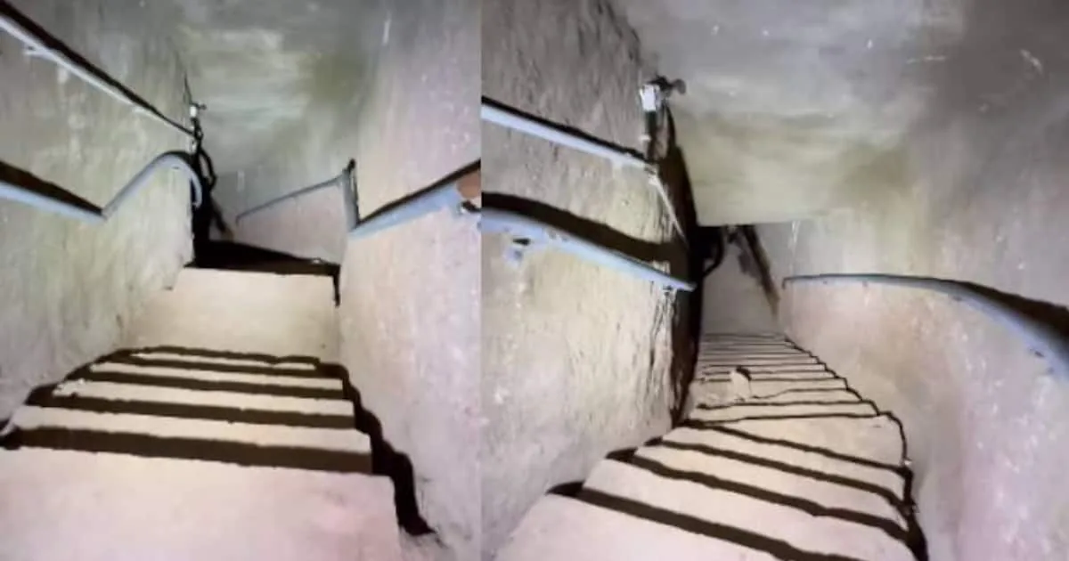 1726745479_new-project-7-_1200x630xt.jpg
