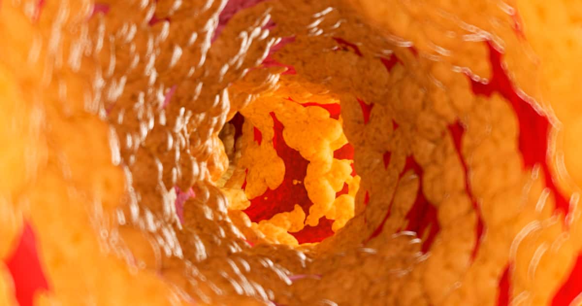 1727530270_fotojet-19-_1200x630xt.jpg