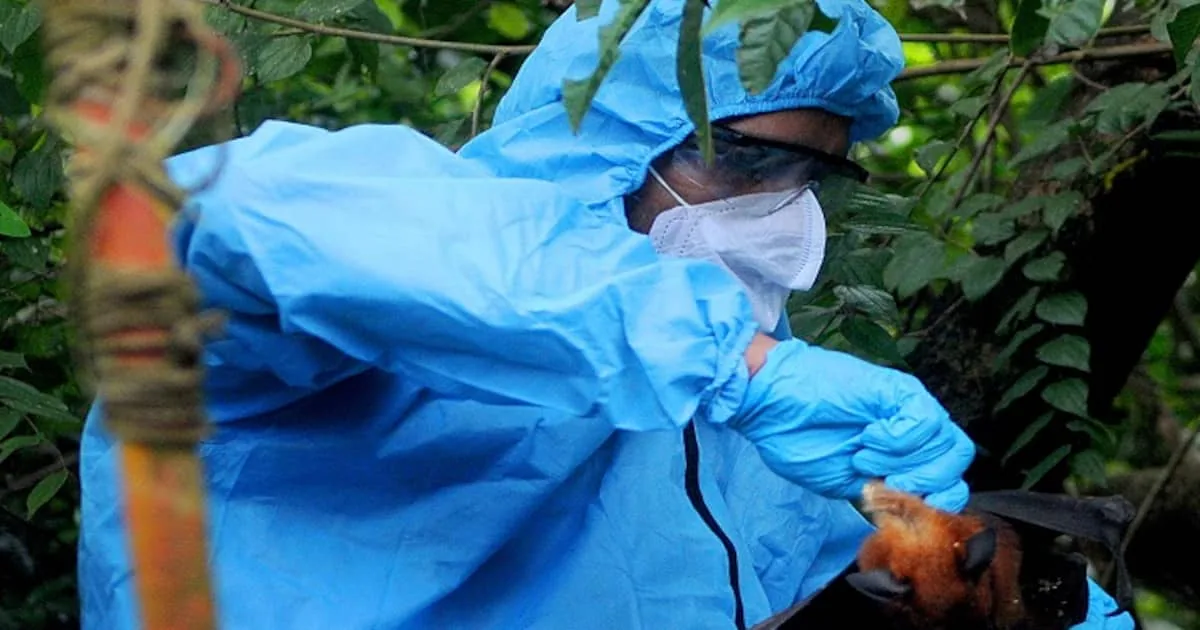 Nipah-Virus-1694833028359_1200x630xt.jpg