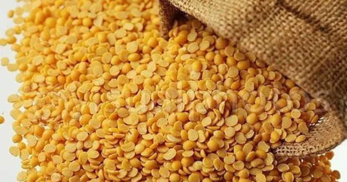 Pulses-price-1712900733151_1200x630xt.jpg