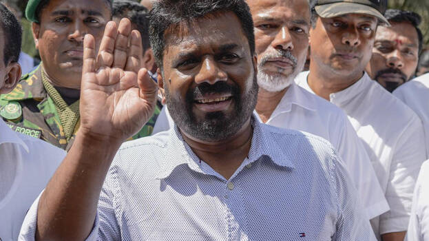 anura.1.2912500.jpg