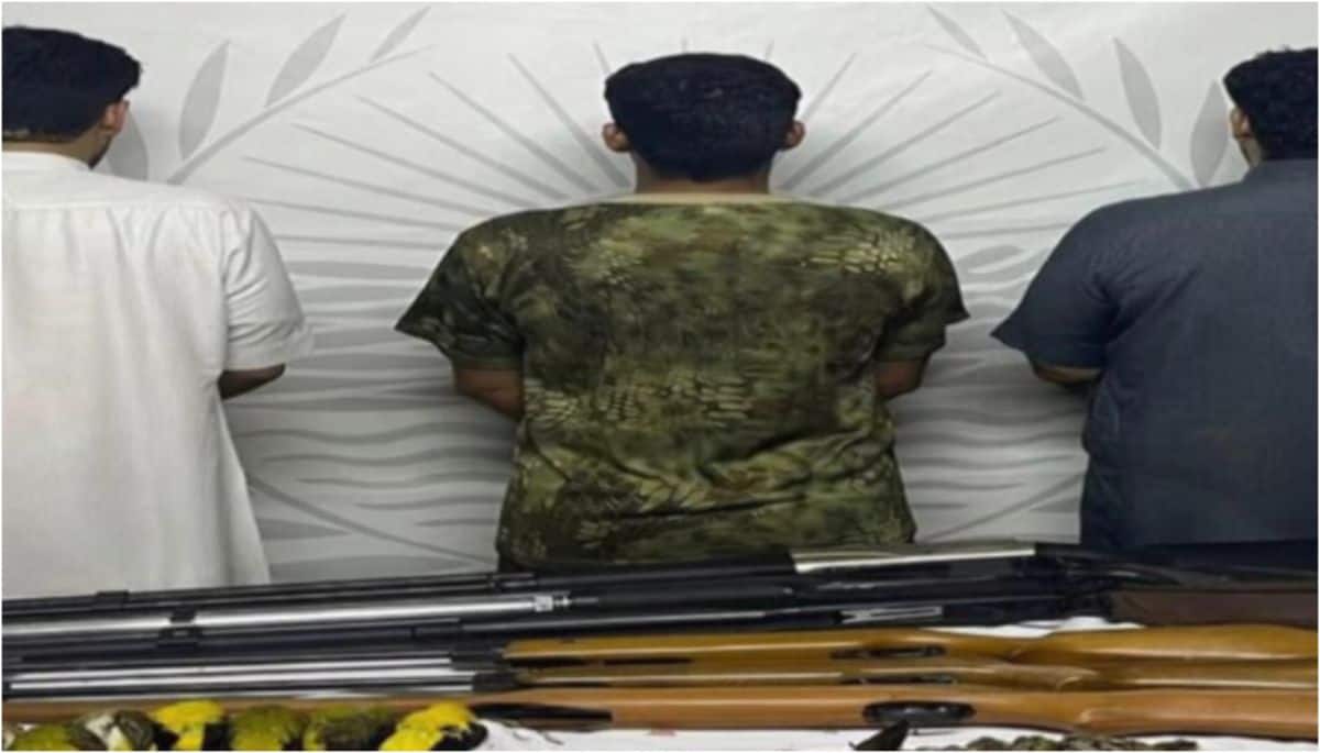 bed43635-wp-header-logo.png