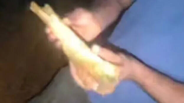 bone.1.2914391.jpg