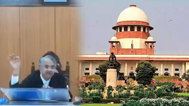 court.1.2909472.jpg