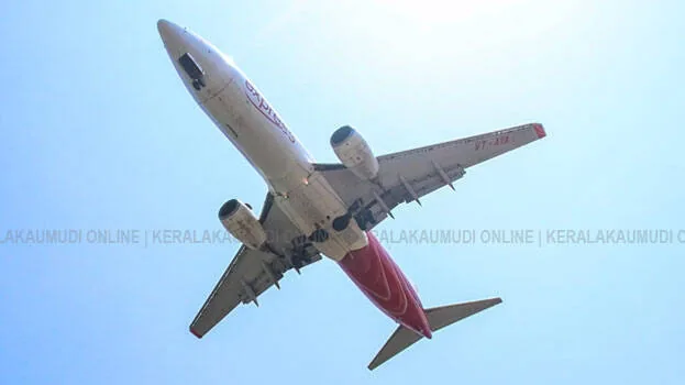 flight.1.2924014.jpg
