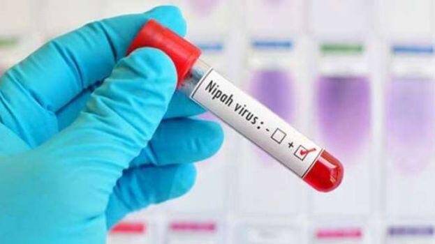 nipah.1.2903436.jpg