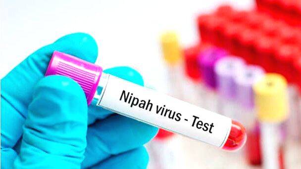 nipah.1559667345.jpg