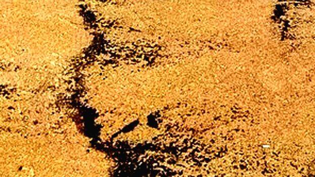 pic.1726710757.jpg