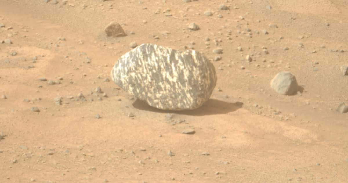 zebra-rock_1200x630xt.jpg