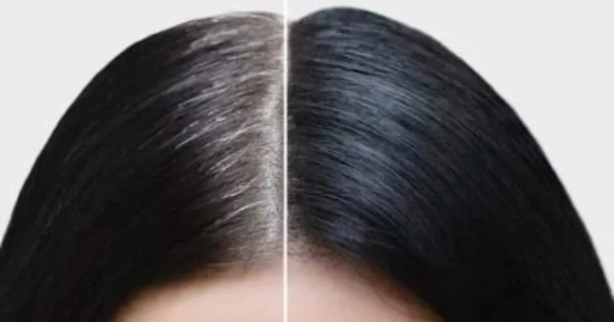 1728394978_fotojet-26-_1200x630xt.jpg