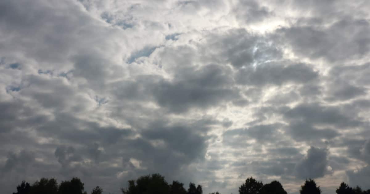 1728821071_fotojet-24-_1200x630xt.jpg
