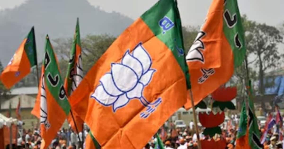 1729424007_bjp-flag_1200x630xt.jpg