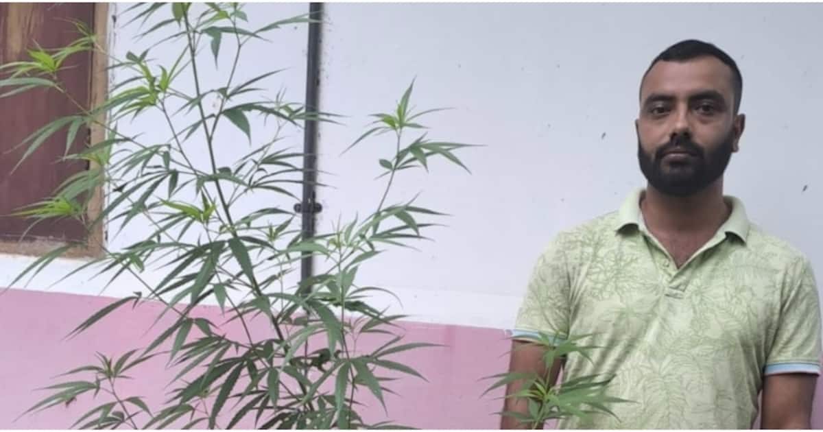 1729928007_ganja-arrest_1200x630xt.jpg