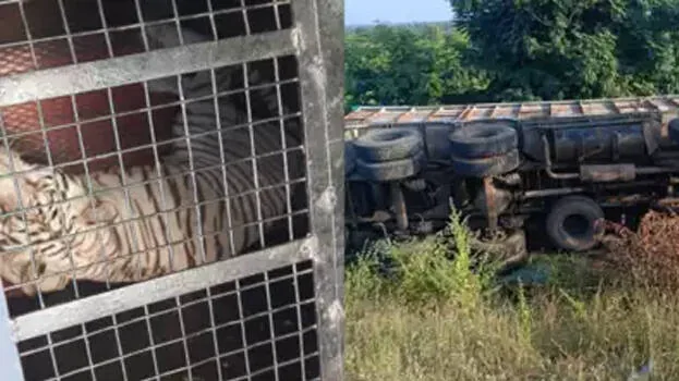 accident.1.2952603.jpg