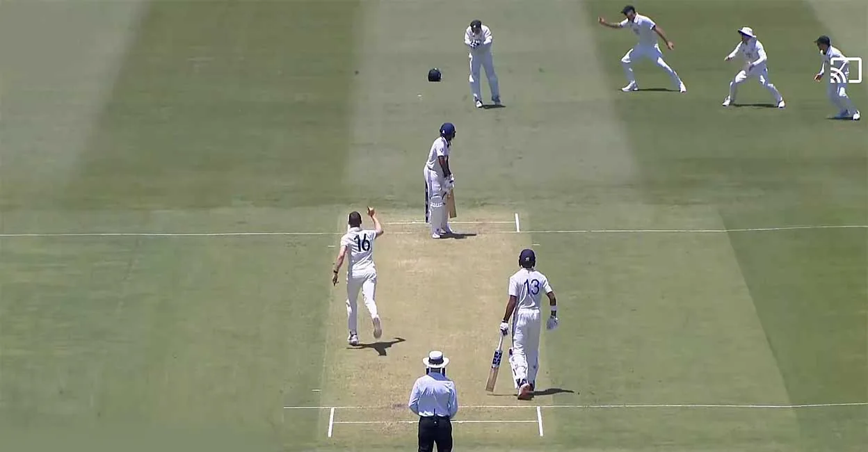 australia-wicket-celebration.jpg