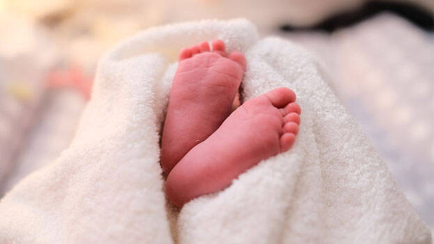 baby.1.2942665.jpg