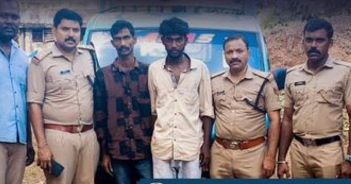 cannabis-seized-from-adoor_1200x630xt.jpg