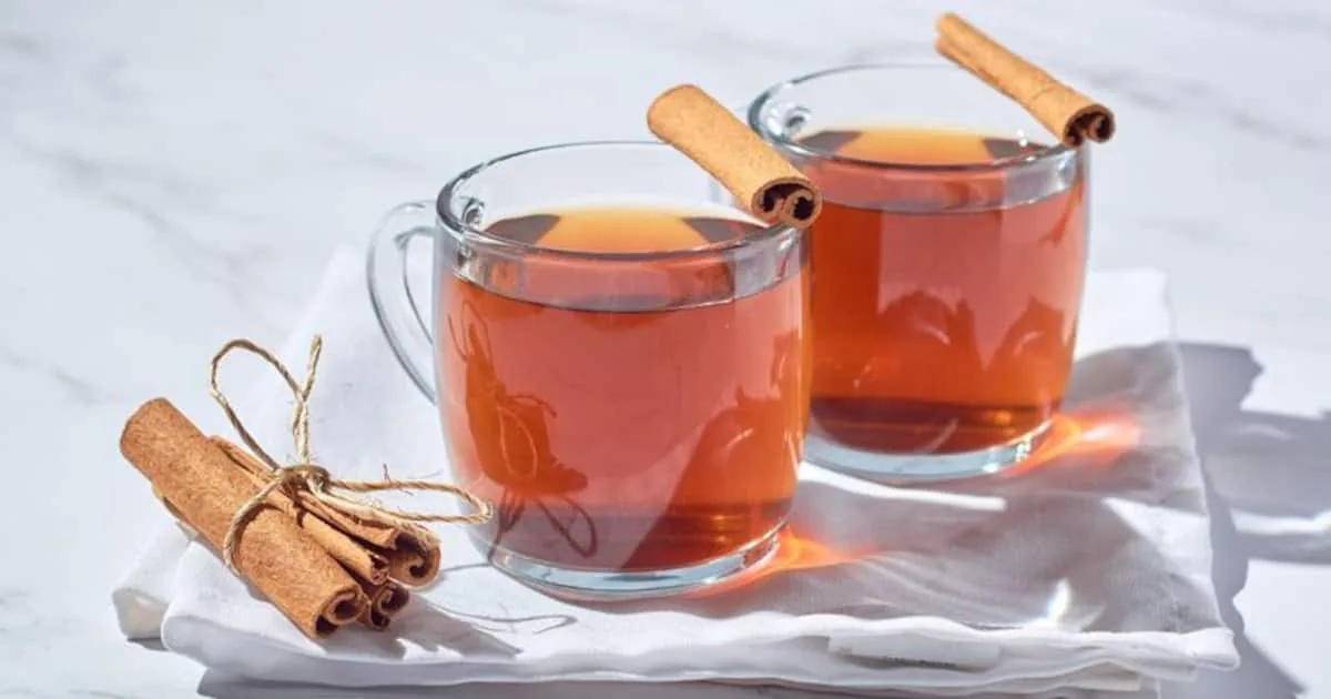 cinnamon-water-health-benefits1698203677044-1-_1200x630xt.jpg