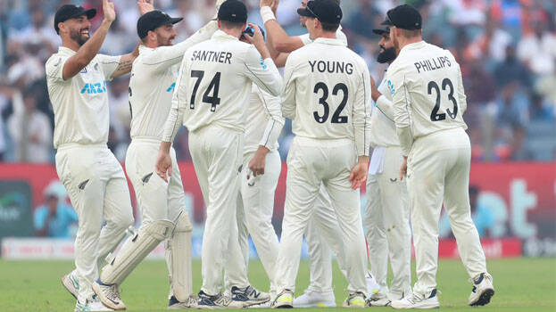 cricket.1.2963816.jpg
