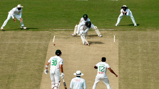 cricket.1.2970798.jpg