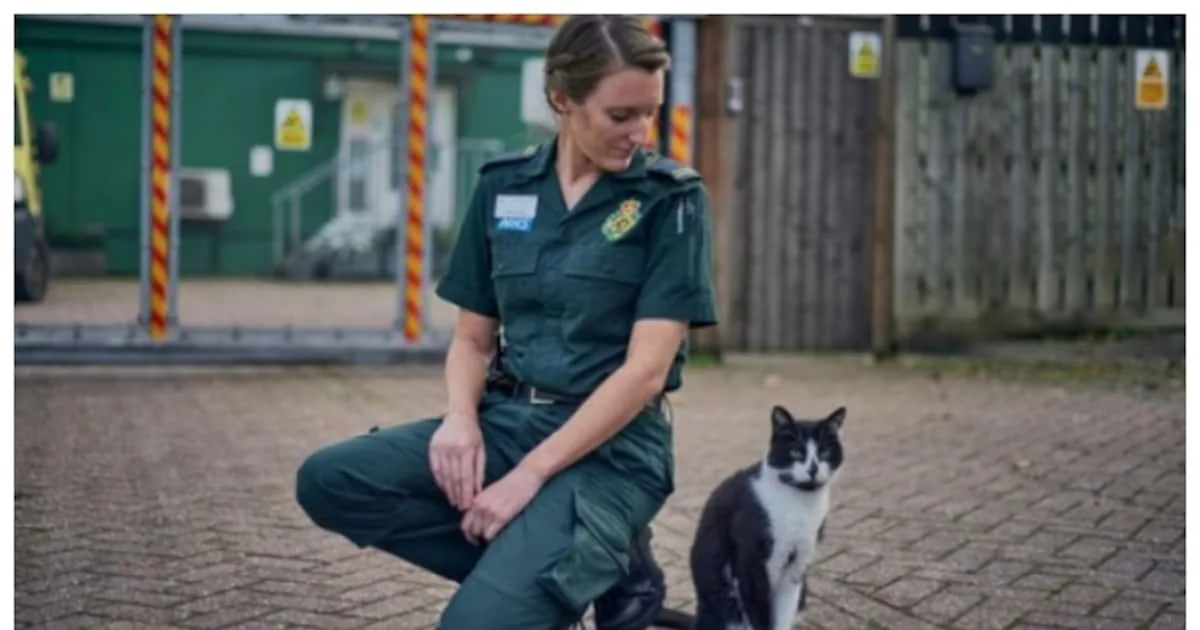 defib-the-cat-at-walthamstow-ambulance-station_1200x630xt.jpg