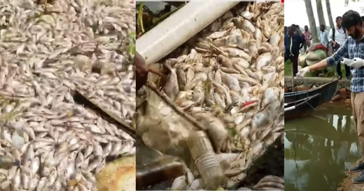 fish-death-in-ashtamudi-lake_1200x630xt.jpg