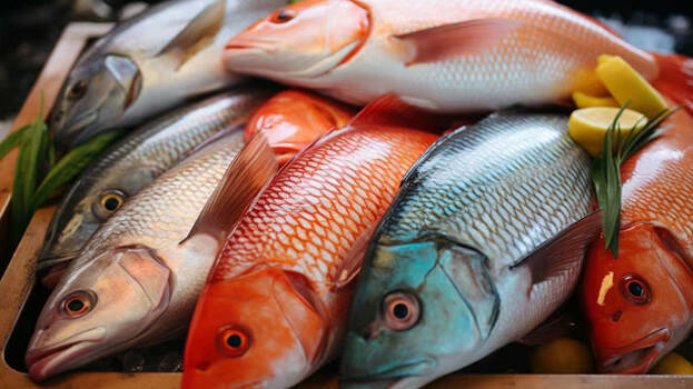 fishes.1.2965505.jpg