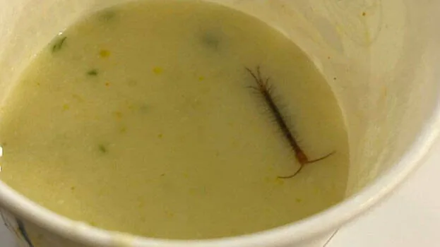 food.1.2958913.jpg