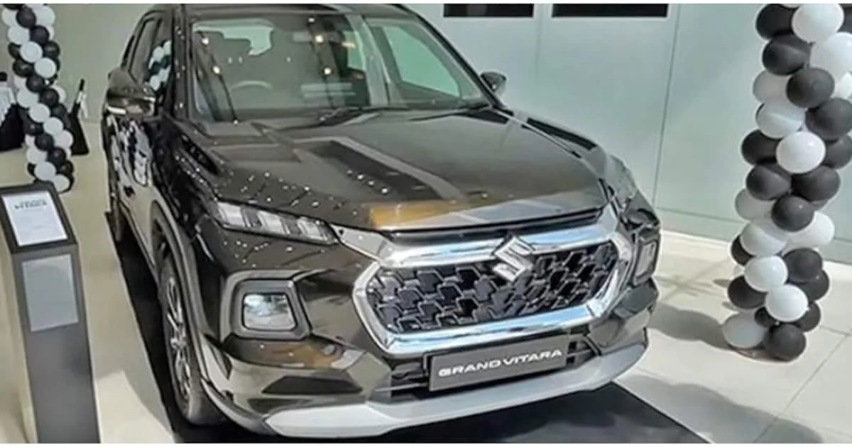 grand-vitara-dominian_1200x630xt.jpg