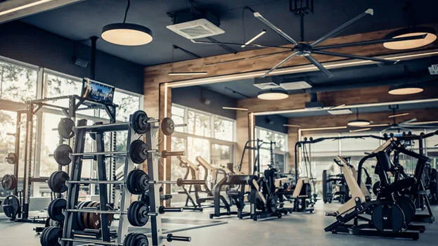 gym.1.2933418.jpg