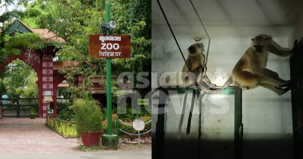 hanuman-monkey_1200x630xt.jpg