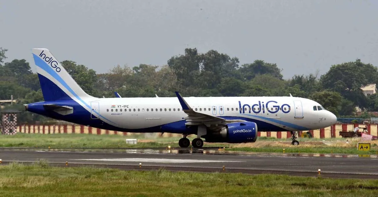 indigo-flight-representational.jpg