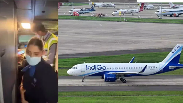 indigo-flight.1.2930198.jpg