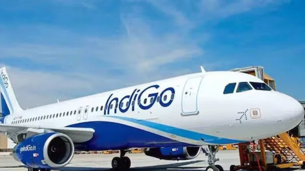 indigo.1.2933479.jpg
