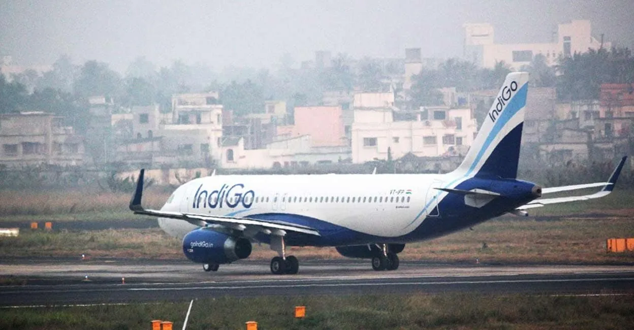 indigo.jpg
