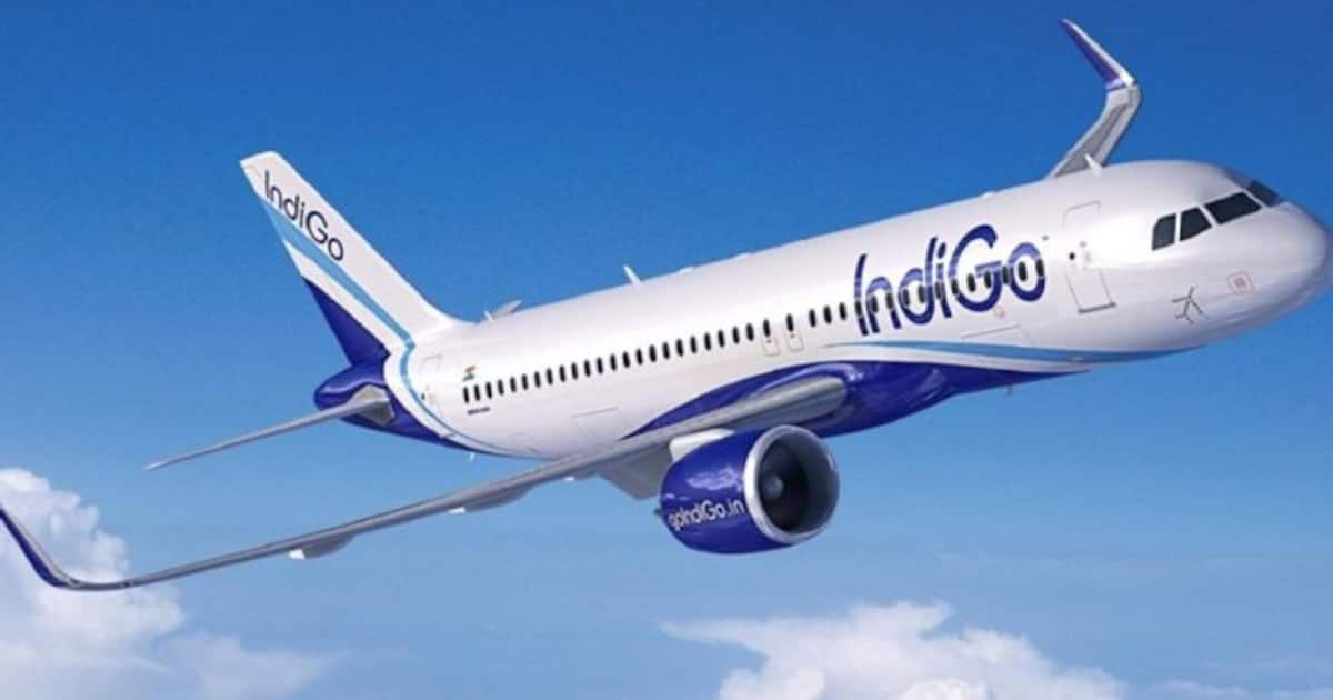 indigo_1200x630xt.jpg