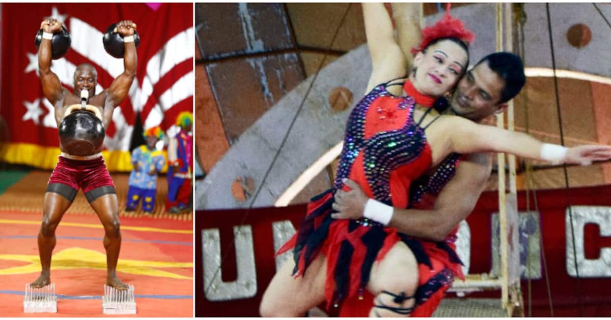 jumbo-circus_1200x630xt.jpg