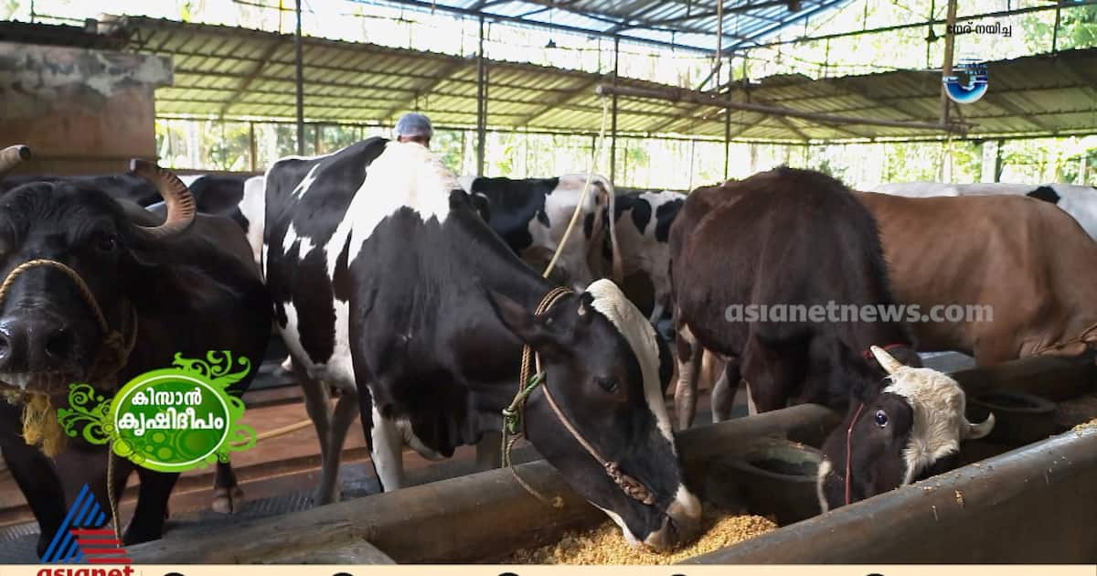 kissan-krishideepam-ki-_1200x630xt.jpg