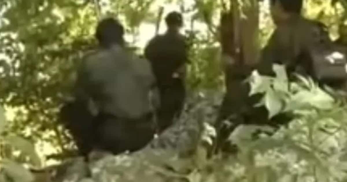 maoists-jpg_1200x630xt.jpg