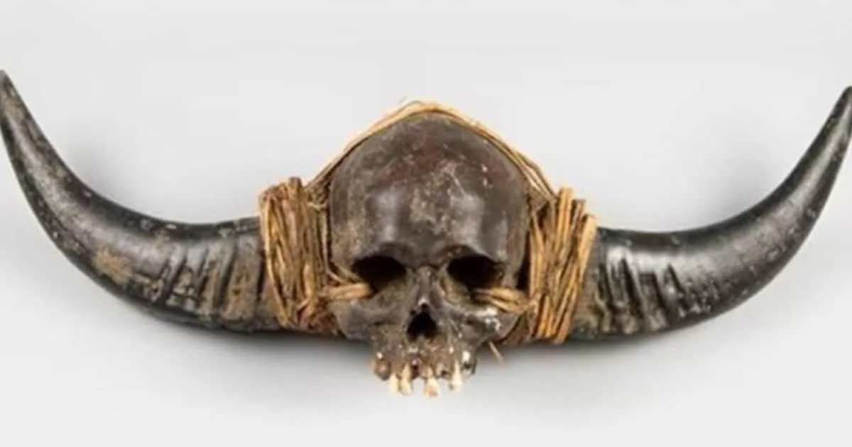 naga-human-skull_1200x630xt.jpg